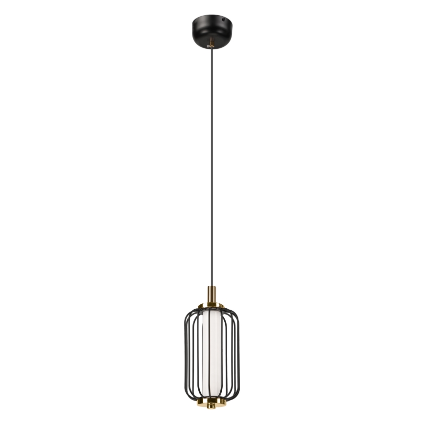 Lustre LED suspenso por cabo BONNIE LED/10W/230V 3000K preto