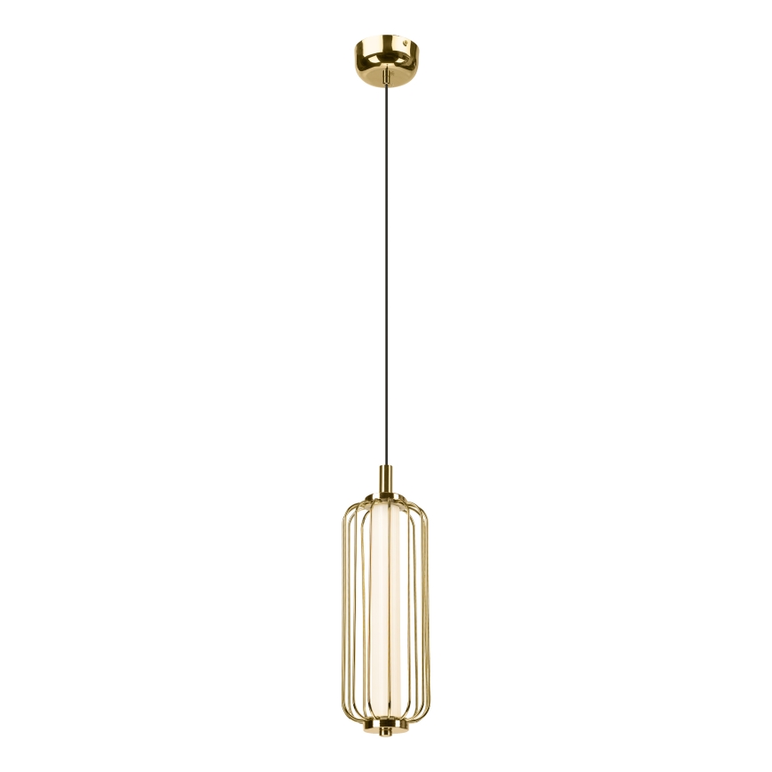 Lustre LED suspenso por cabo BONNIE LED/15W/230V 3000K dourado