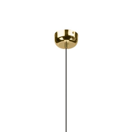 Lustre LED suspenso por cabo BONNIE LED/15W/230V 3000K dourado