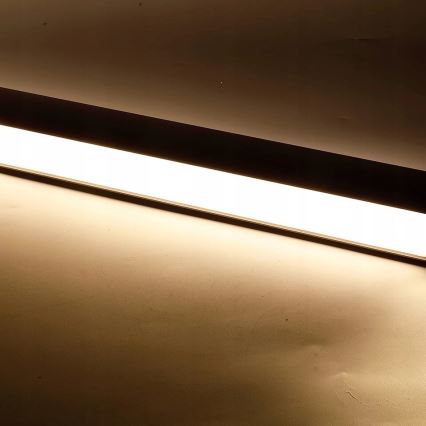 Lustre LED suspenso por cabo/de montagem em superfície LED/44W/230V 4000K 120 cm preto