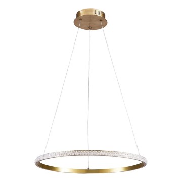 Lustre LED suspenso por cabo DIANA LED/25W/230V 4000K diâmetro 50 cm dourado