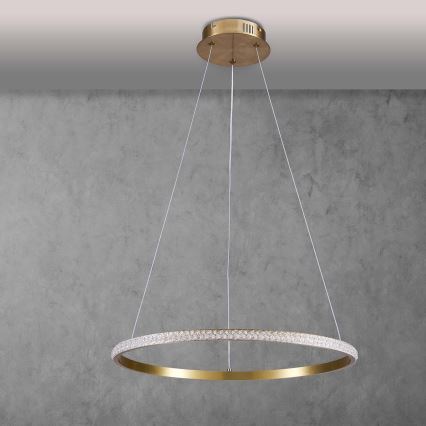 Lustre LED suspenso por cabo DIANA LED/25W/230V 4000K diâmetro 50 cm dourado