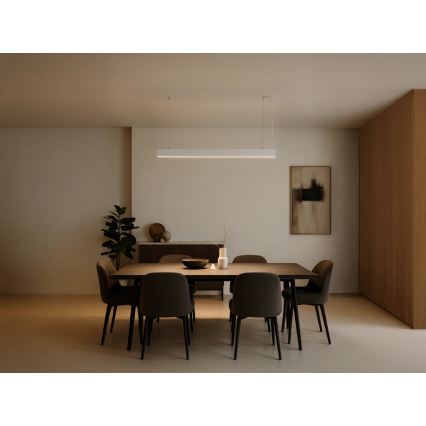 Lustre LED suspenso por cabo LED/55W/230V 3000/4000/6500K 120 cm branco
