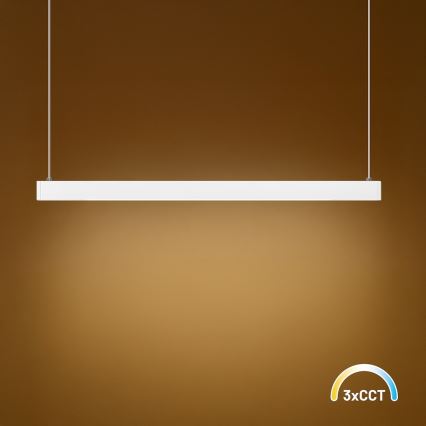 Lustre LED suspenso por cabo LINEA LED/36W/230V 3000/4000/5700K CRI 90 branco