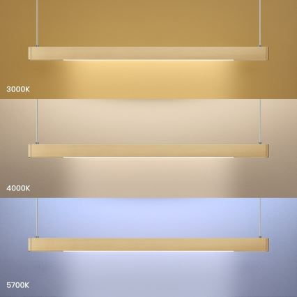 Lustre LED suspenso por cabo LINEA LED/36W/230V 3000/4000/5700K CRI 90 dourado