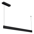 Lustre LED suspenso por cabo LINEA LED/36W/230V 3000/4000/5700K CRI 90 preto