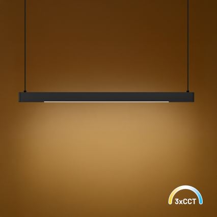 Lustre LED suspenso por cabo LINEA LED/36W/230V 3000/4000/5700K CRI 90 preto