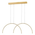 Lustre LED suspenso por cabo MEGAN LED/39W/230V dourado