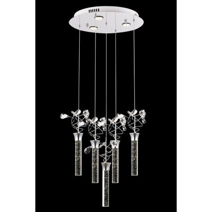 Lustre LED suspenso por cabo PIGEON 5xLED/6W/230V 6500K cromo brilhante