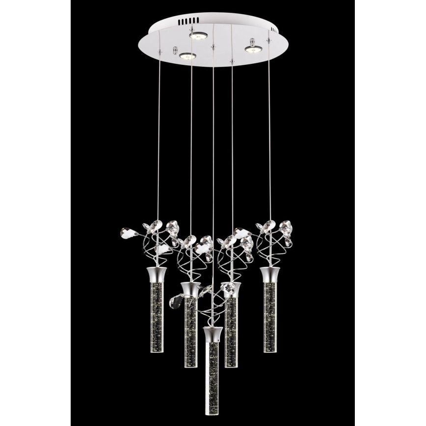 Lustre LED suspenso por cabo PIGEON 5xLED/6W/230V 6500K cromo brilhante