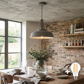 Lustre LED suspenso por cabo RYAN 1xE27/60W/230V cinzento