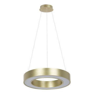 Lustre LED suspenso por cabo UNION LED/40W/230V 3000/4000/6500K, Ø 40 cm, dourado