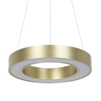 Lustre LED suspenso por cabo UNION LED/40W/230V 3000/4000/6500K, Ø 40 cm, dourado
