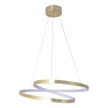 Lustre LED suspenso por cabo ZEFIRA LED/40W/230V 4000K Ø 50 cm dourado