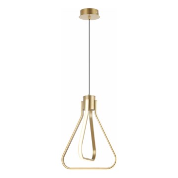 Lustre LED suspenso por cabo ZING LED/19W/230V dourado