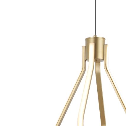 Lustre LED suspenso por cabo ZING LED/19W/230V dourado