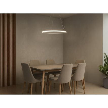 Lustre LED dimerizável suspenso por cabo, 32W/230V, 3000-6500K, diâmetro 60 cm + controlo remoto