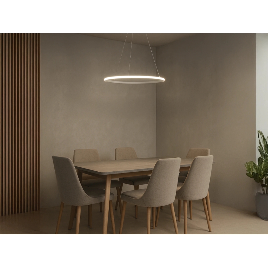 Lustre LED dimerizável suspenso por cabo, 32W/230V, 3000-6500K, diâmetro 60 cm + controlo remoto