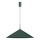 Lustre suspenso com cabo CAPITAL 1xGX53/15W/230V, Ø 60 cm, verde