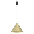 Lustre suspenso em cabo CAPITAL 1xGX53/15W/230V Ø 32 cm dourado