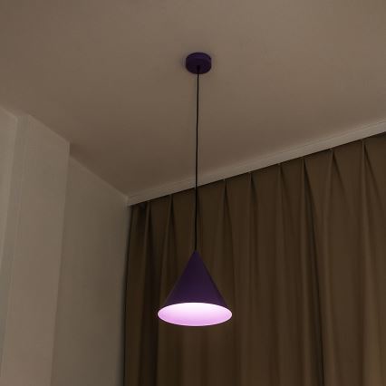 Lustre suspenso em cabo ETNA II 1xE27/15W/230V Ø 25 cm roxo