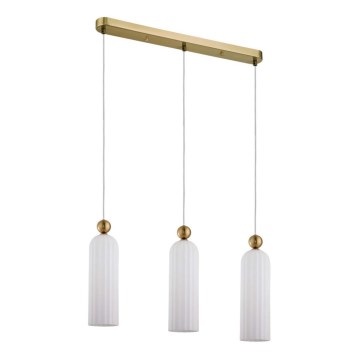 Lustre suspenso em cabo PIEGA 3xE14/40W/230V latão/branco