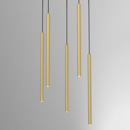 Lustre suspenso em cabo YORU 8xG9/8W/230V latão