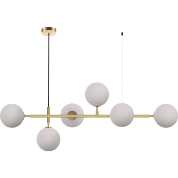 Lustre suspenso por cabo ALISA 6xE14/40W/230V dourado