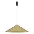 Lustre suspenso por cabo CAPITAL 1xGX53/15W/230V diâmetro 60 cm dourado