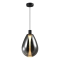 Lustre suspenso por cabo DENSO 1xGU10/10W/230V Ø 30 cm, preto cromado