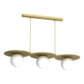 Lustre suspenso por cabo FLAT 3xE27/15W/230V dourado