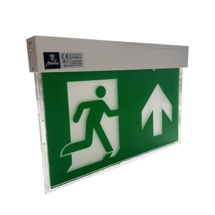 Luz de Emergência LED/2W/230V 6000K 1500 mAh