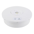Luz de Emergência LED/2W/230V 6000K IP65 3200 mAh