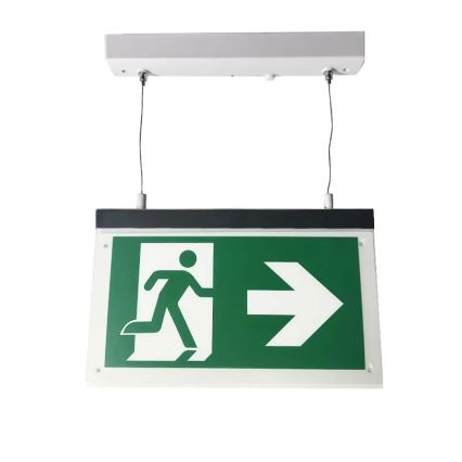 Luz de Emergência LED/4W/230V 6000K 1000 mAh