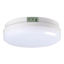 Luz de emergência LED GLORION LED/15W/230V IP65