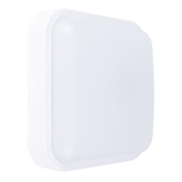 Luz de parede LED de exterior LED/13W/230V IP54