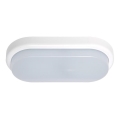 Luz de parede LED de exterior OVAL LED/18W/230V IP54