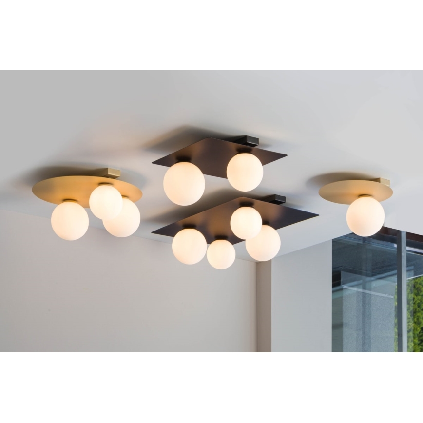 Luz de teto ARGON 1xG9/12W/230V preto antigo