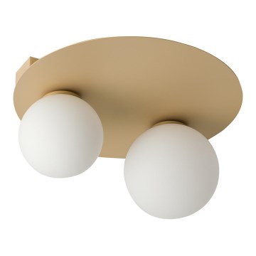 Luz de teto ARGON 2xG9/12W/230V dourado