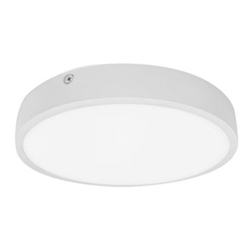 Luz de teto de casa de banho LED EGON LED/30W/230V IP44 3000K