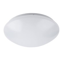 Luz de teto de casa de banho LED LED/12W/230V IP44