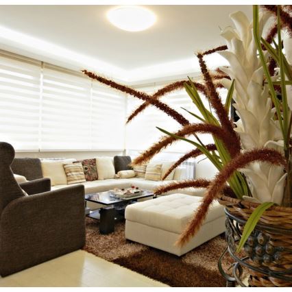 Luz de teto de casa de banho LED VICTOR LED/25W/230V IP44