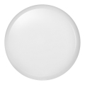 Luz de teto de exterior LED DORI LED/24W/230V IP54 redondo