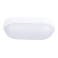 Luz de teto de exterior LED LED/20W/230V IP54