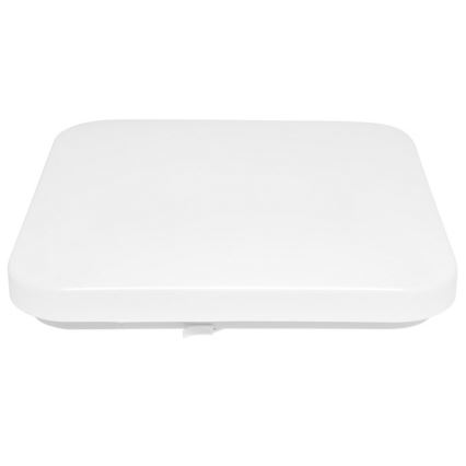 Luz de teto de exterior LED LUKA LED/42W/230V IP44