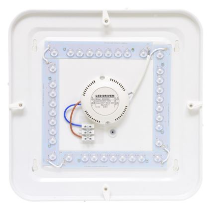 Luz de teto de exterior LED LUKA LED/42W/230V IP44