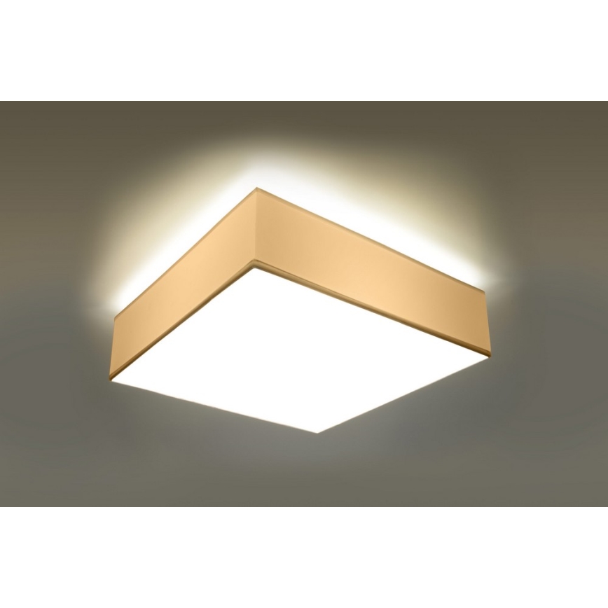 Luz de teto HORUS 35 2xE27/60W/230V branco