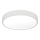 Luz de teto LED LED/12W/230V