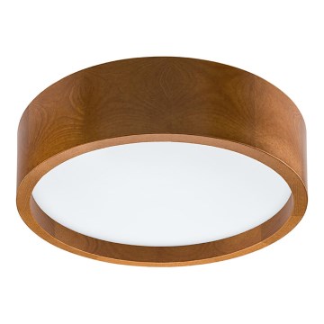 Luz de teto LED LED/35W/230V