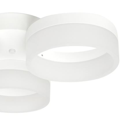 Luz de teto LED RING 3xLED/12W/230V branco